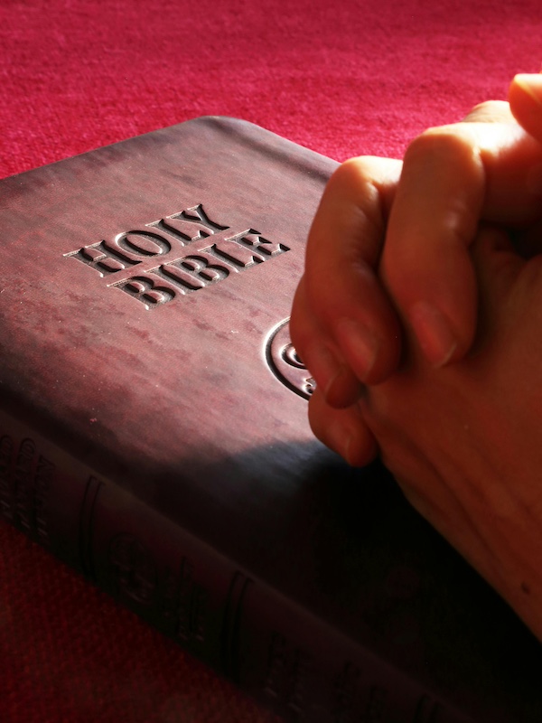 Site Update: Daily Bible Reading